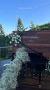 dekota_thompson Altpins Profile Picture