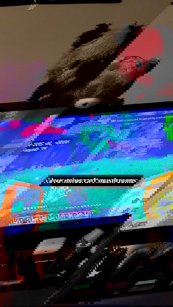 xombunni image ~ Altpins