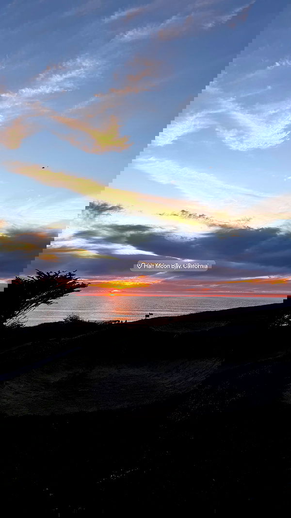 carolinezalog carolinezalog archive image