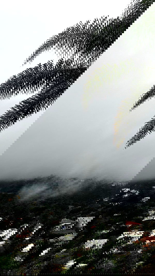 taylor.creeden taylor.creeden archive image