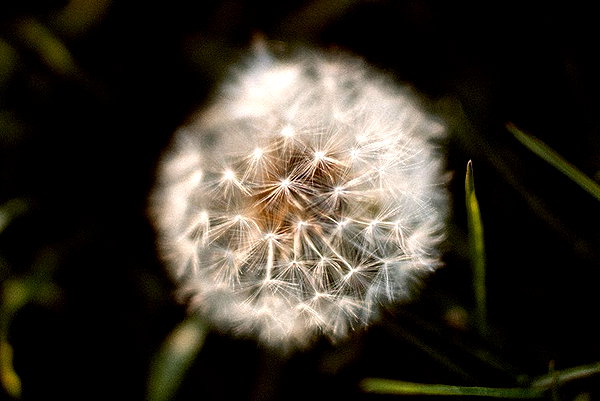 hallucineon instagram image archive image