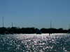 daisy_r_19 Altpins Profile Picture