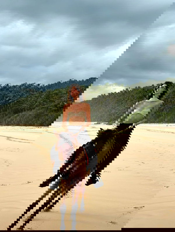 taylor.creeden taylor.creeden archive image