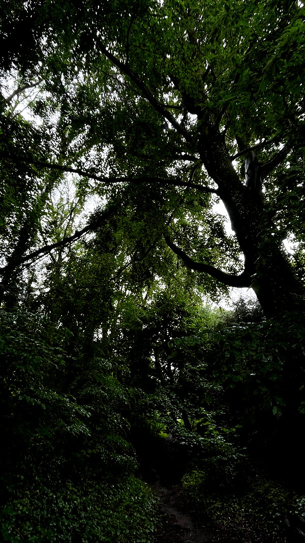 mollieruck instagram image archive image