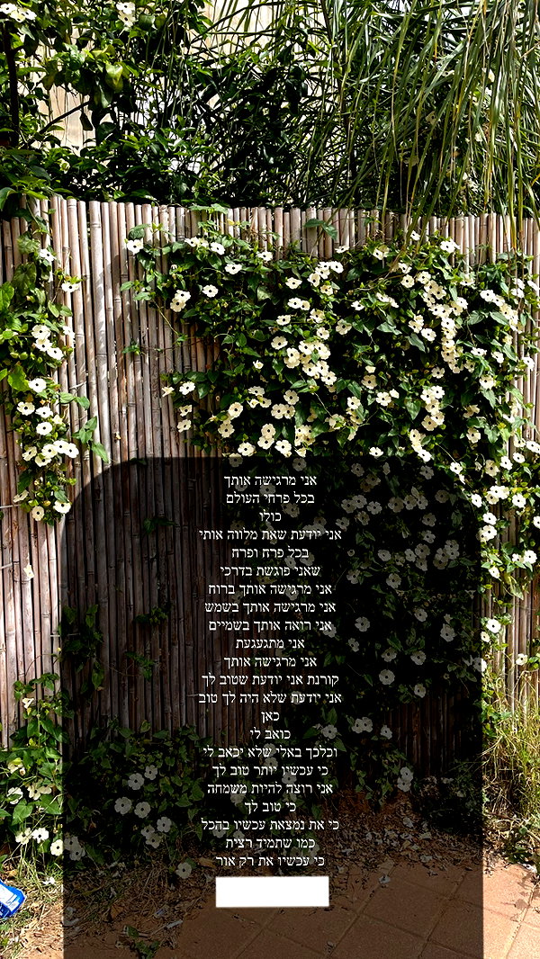 eva_romanovski instagram image archive image