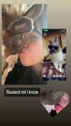 luvstuff3r Altpins Profile Picture