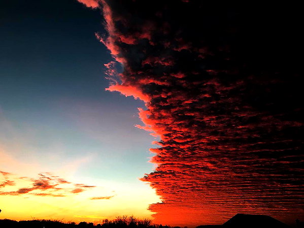 hallucineon instagram image archive image
