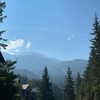 taratornquist Altpins Profile Picture