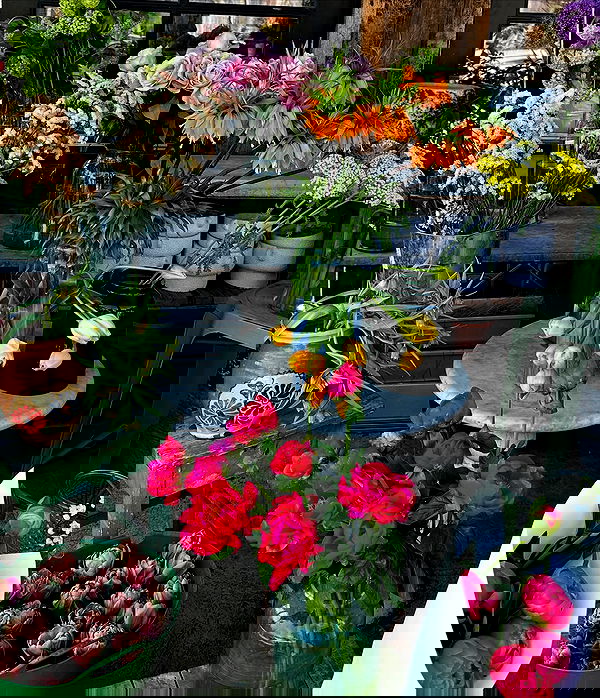 taylor.creeden taylor.creeden archive image