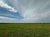forestowwwl Altpins Profile Picture