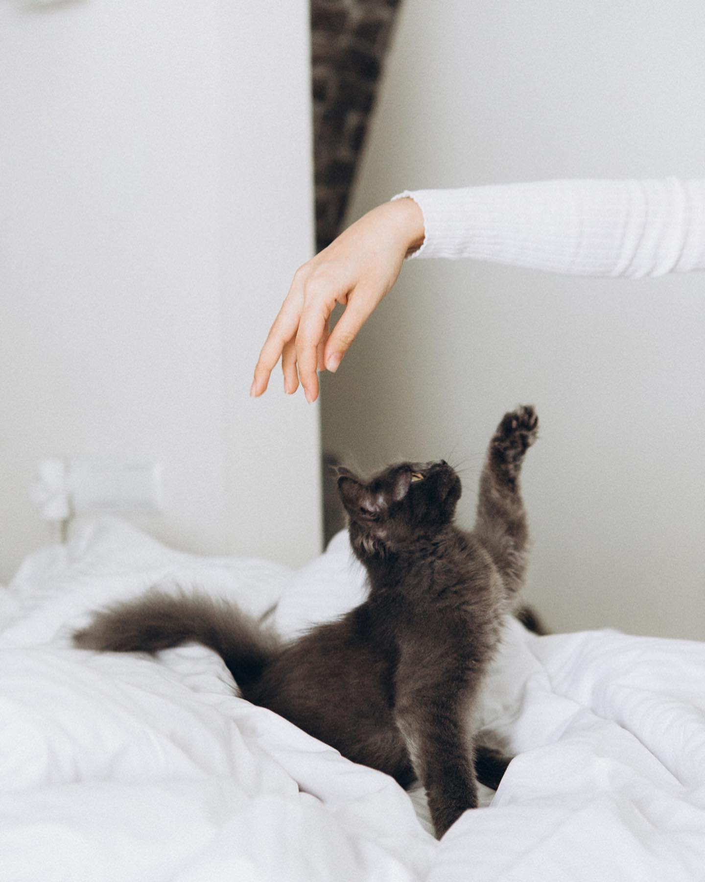 kkulakovaa instagram image archive image