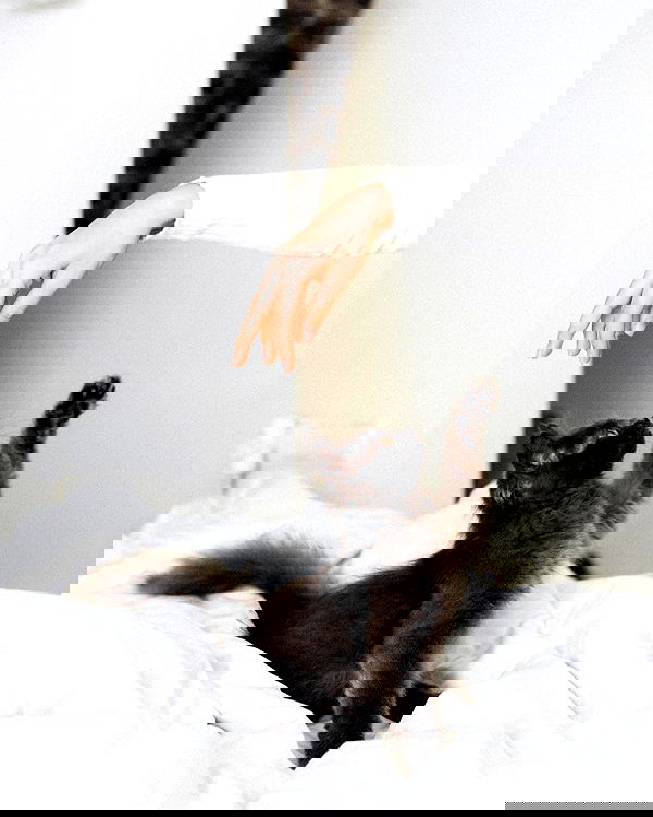 kkulakovaa image ~ Altpins