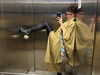 daryanedarya Altpins Profile Picture