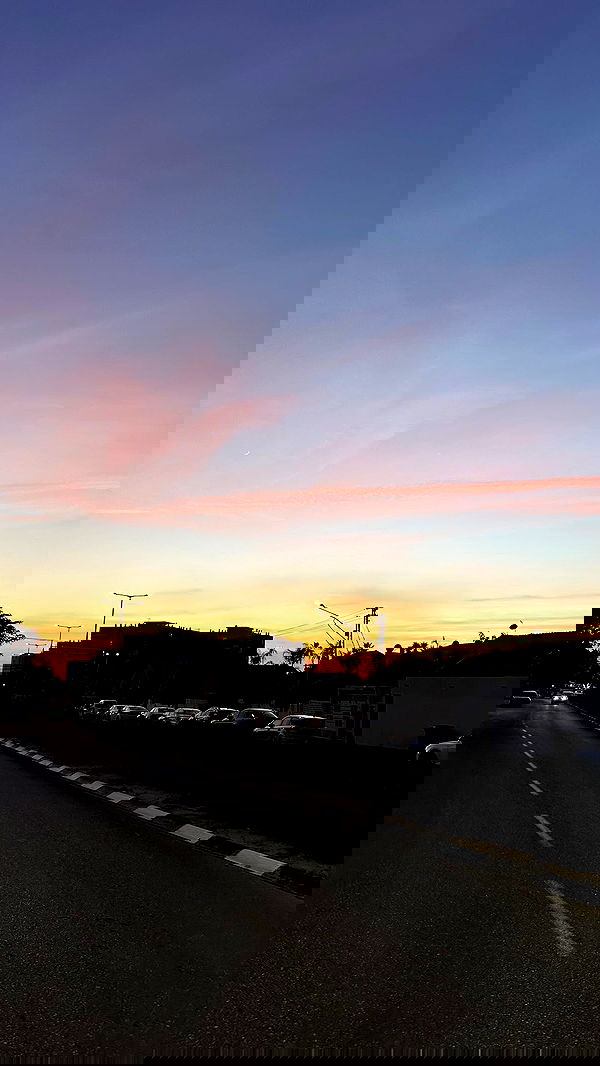 mishel116 mishel116 archive image