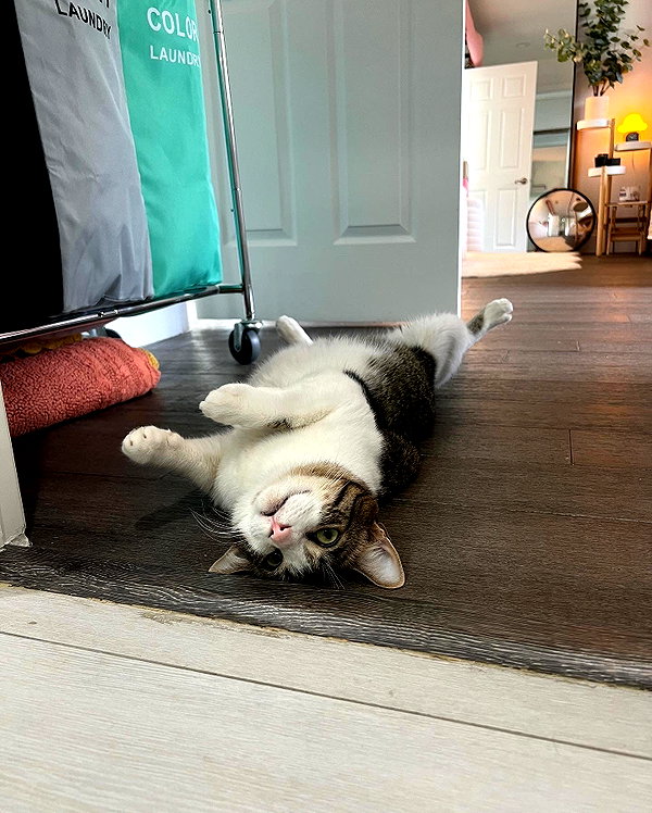 peachtoot.plz instagram image archive image