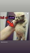 babynympho_archive Altpins Profile Picture