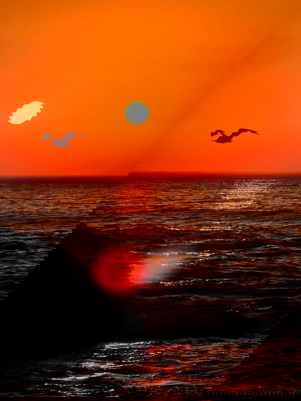 taylor.creeden taylor.creeden archive image