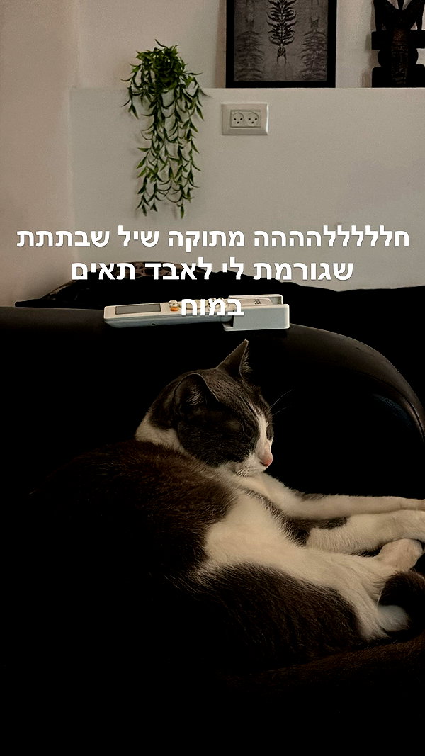 iinfusiia instagram image archive image