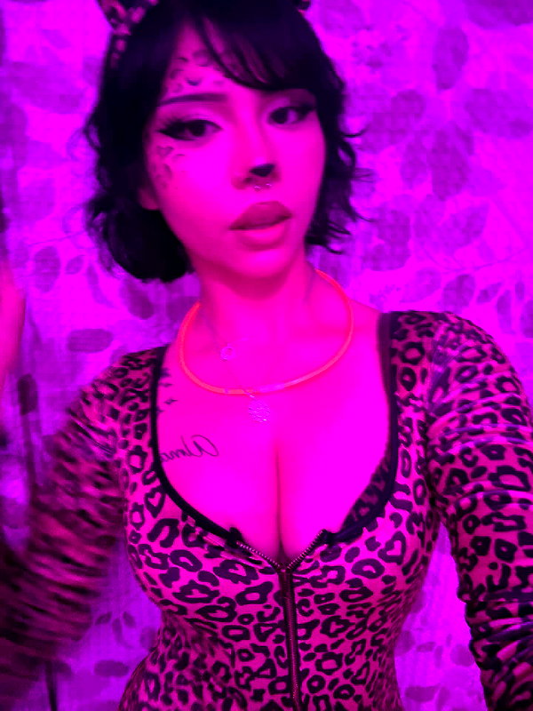 shay.la__ archive image