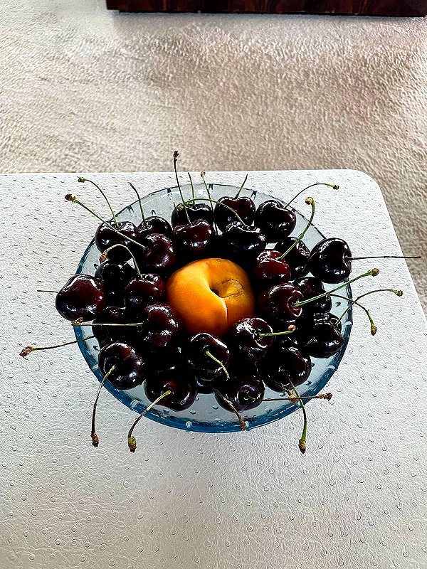 ninastodden instagram image archive image