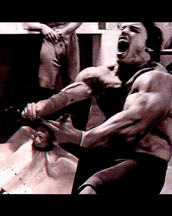 leanbeefpatty instagram image archive image
