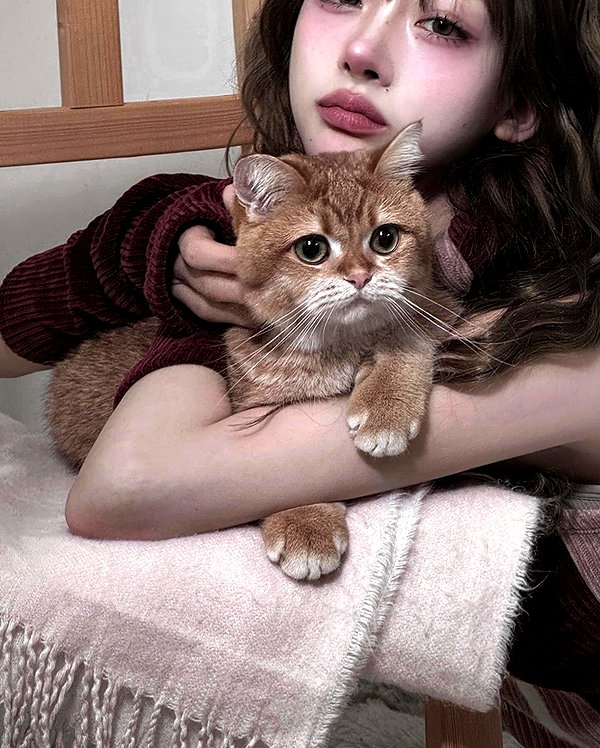 s0meii0 instagram image archive image