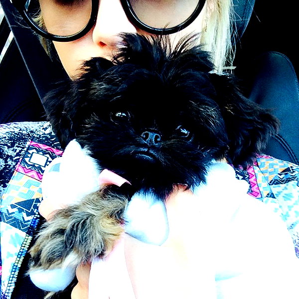 ashleybenson instagram image archive image