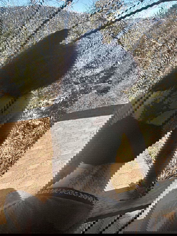 zommmbri zommmbri archive image