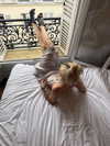 girlcalledluca Altpins Profile Picture