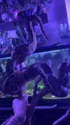 arachni.ba3 Altpins Profile Picture