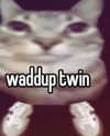 ellaexplicit_ Altpins Profile Picture