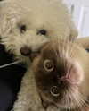 leahhalton Altpins Profile Picture