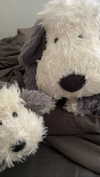 basakerrrrr Altpins Profile Picture