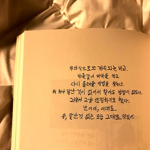 daxbin instagram image archive image