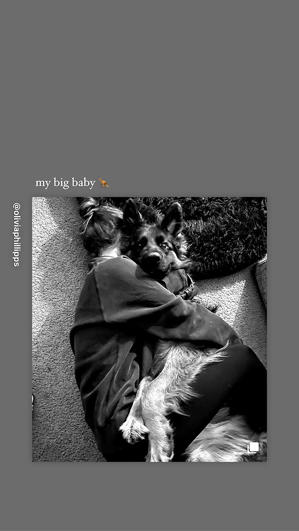 oliviaphillipps instagram image archive image