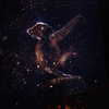 adele Altpins Profile Picture