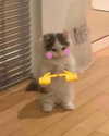_urbaneva Altpins Profile Picture