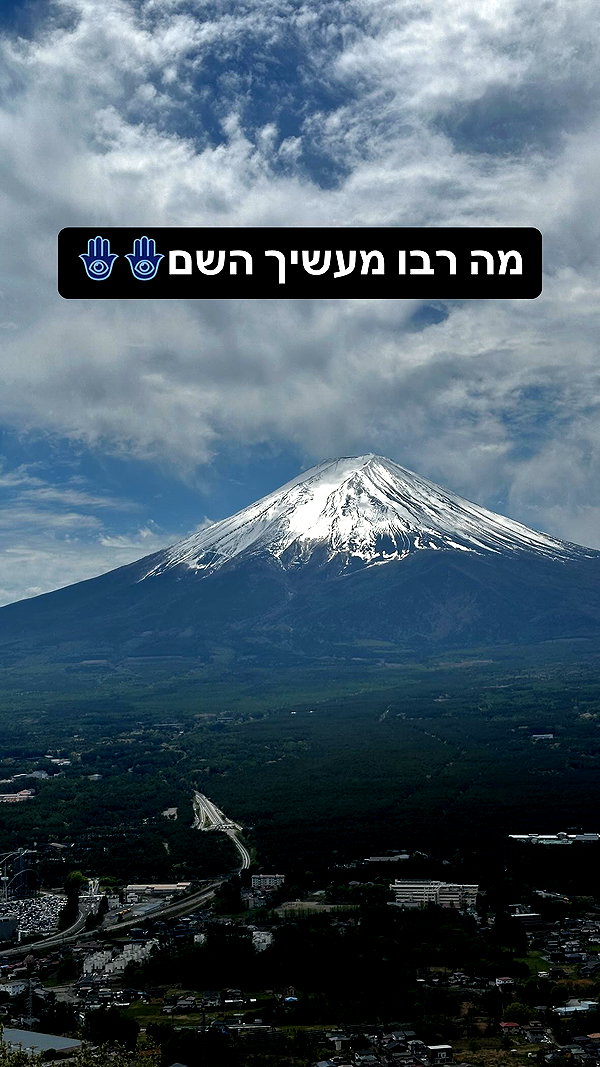 _dafi_lu instagram image archive image
