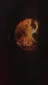 alisen.mari Altpins Profile Picture