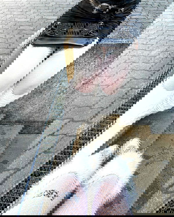 naia_gg naia_gg archive image