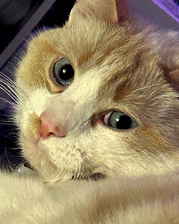 charley.chambers instagram image archive image