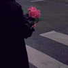 lai_931201 Altpins Profile Picture