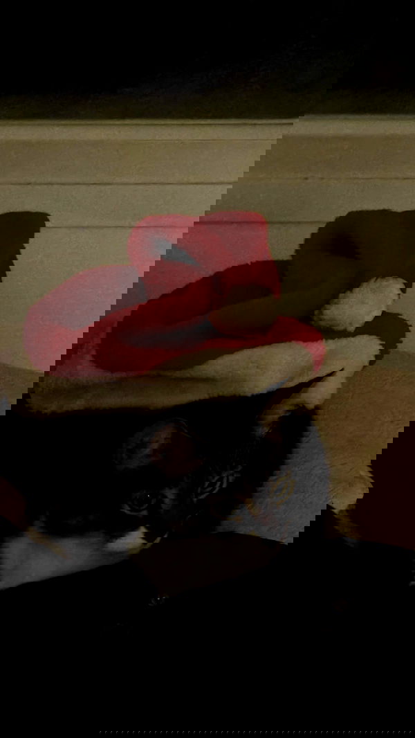 laluzone laluzone archive image