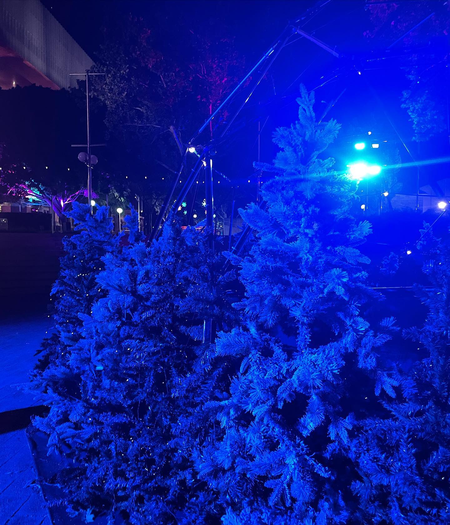 jtilb2 instagram image archive image