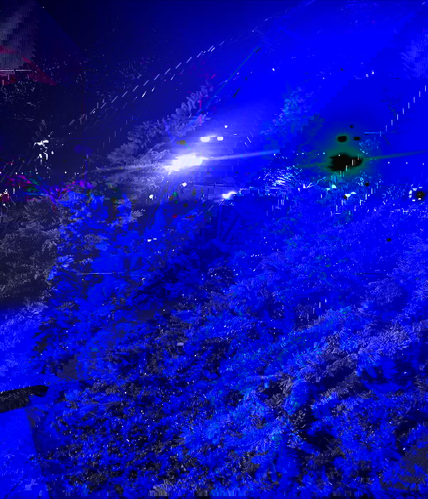 jtilb2 image ~ Altpins