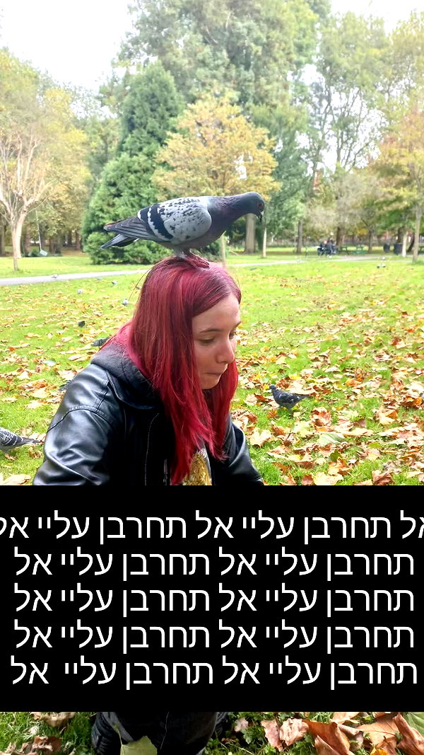 daniella_koosit instagram image archive image