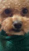 violetpau_ Altpins Profile Picture