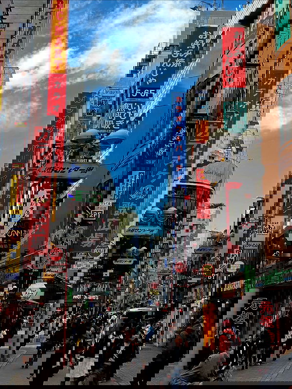 taylor.creeden taylor.creeden archive image