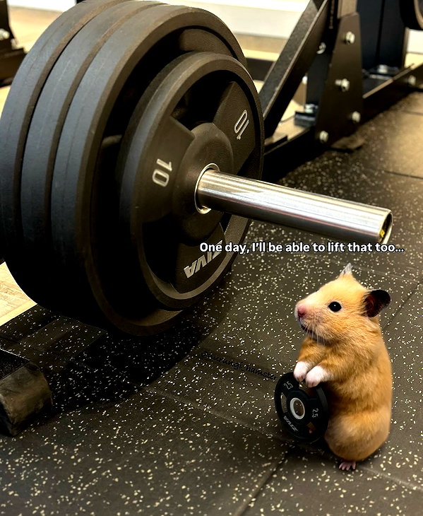 maiden_lifts instagram image archive image