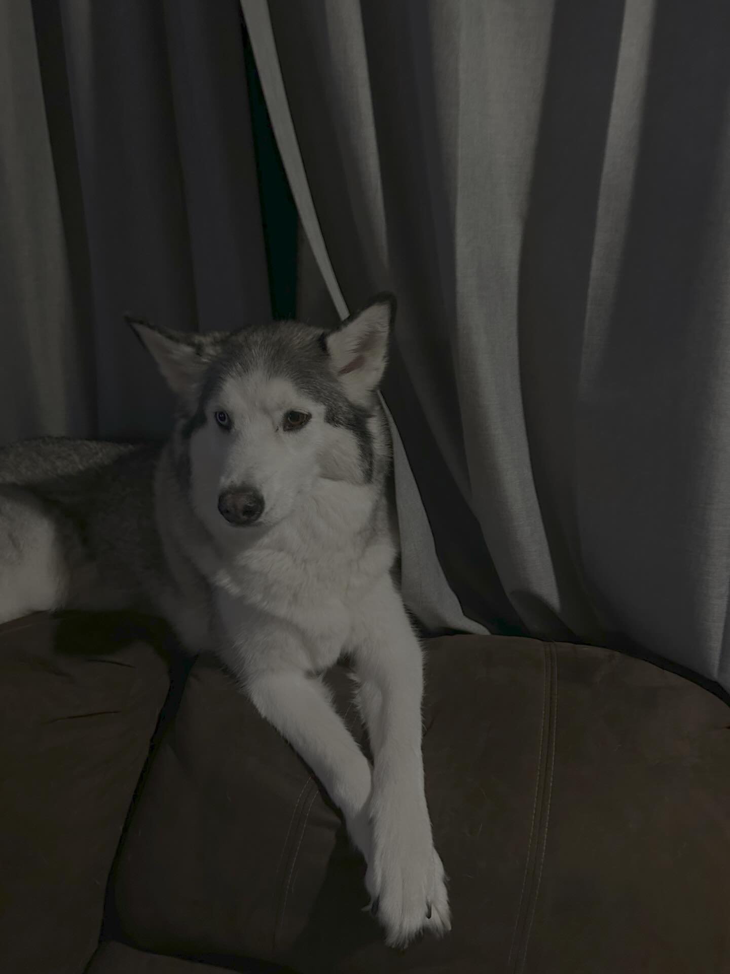 _animechika_ instagram image archive image